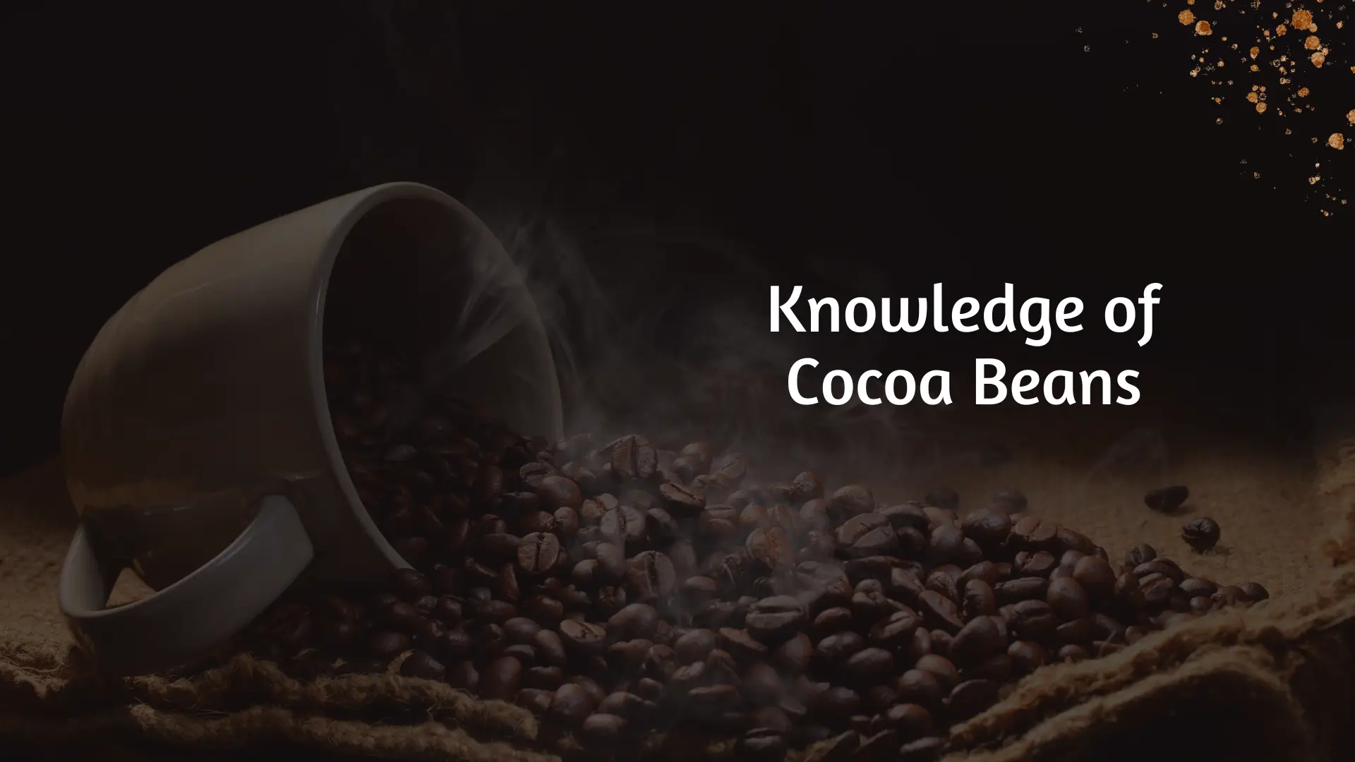 cocoa beans exporter to India