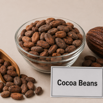 Cocoa Beans