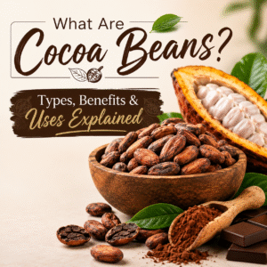What are cocoa beans?